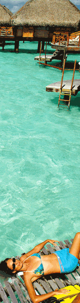 Retrouvez toutes nos offres