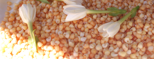 Découvrez la Polynésie