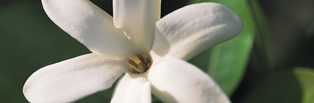 Espacio para agentes de Viajes