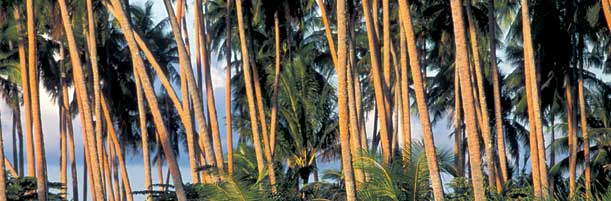 Información practica