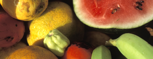 Découvrez la Polynésie