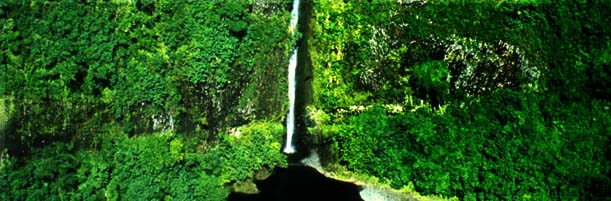 Invitación al Viaje