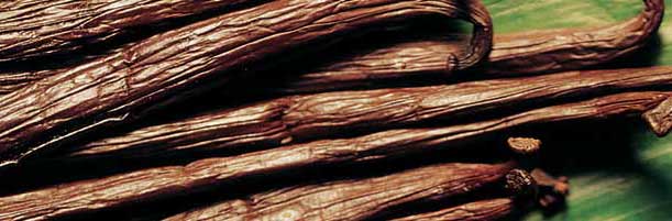 Invitación al Viaje