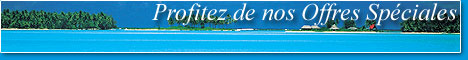 Profitez de nos offres...