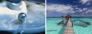 Les Perles de Tahiti 