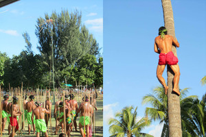 Les Jardins du musée de Tahiti et des Iles 